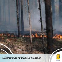 Как избежать природных пожаров? Как избежать природных пожаров?.