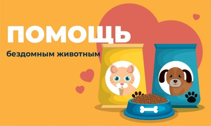 Помощь бездомным животным Помощь бездомным животным.