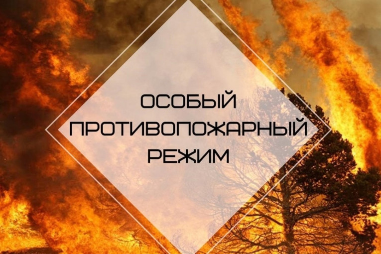 Противопожарный режим Противопожарный режим.
