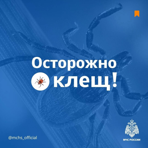 Осторожно! Клещ! Осторожно! Клещ!.